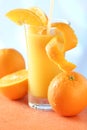 Juicy thirst quencher Royalty Free Stock Photo