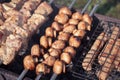 Juicy toasted mushrooms close-up on the grill on skewers near juicy pieces of meat fried on coals Royalty Free Stock Photo