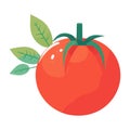 Juicy tomato salad, a symbol of healthy eating