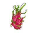 Juicy tropical dragonfruit