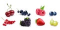 Juicy vector berries raspberry, blueberry, cherry, currant, blackberry, strawberry, gooseberry on white background. Fresh, Royalty Free Stock Photo