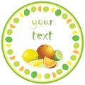 Juicy vector citrus fruits on the round background.