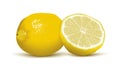 Juicy vector lemons