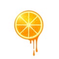 Juicy Vector Orange Slice