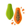 Juicy vector papaya flat illustration