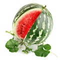 Juicy watermelon in cut with green leaf Royalty Free Stock Photo