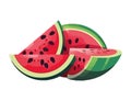 Juicy watermelon slice, ripe and fresh summer treat