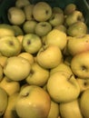 Juicy yellow golden apples. Delicious ripe fruits.