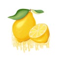 Juicy yellow lemon. Citrus whole fruit and half. Digital illustration of ripe fruit. Diet and vegetarian food. Background sweats