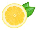 Juicy yellow lemon on a white background isolated