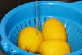 Juicy yellow lemons under a stream of water during washing Royalty Free Stock Photo