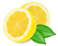 Juicy yellow lemons on a white background isolated