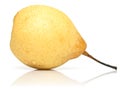 Juicy yellow pear