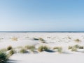 Juist Island in Germany under the blue sky with plants on its white sand Royalty Free Stock Photo