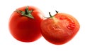 Juisy tomatoes isolated on white background Royalty Free Stock Photo