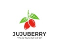 Jujube fruit logo template. Unabi berry vector design
