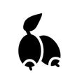 Jujube icon. Trendy Jujube logo concept on white background from