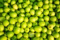 Jujube, Indian jujube, Chinese date, monkey apple, green balls pile Royalty Free Stock Photo