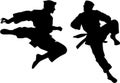 Jujutsu fighters on a white background. AI-Generated.
