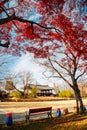 Jukseoru Pavilion at autumn in Samcheok, Korea