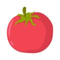 Tomato with colored hand drawn vector illustration Royalty Free Stock Photo