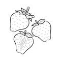 Doodle Strawberry fruit with hand drawn vector illustration