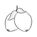 Doodle lemon fruit with simple hand drawn vector illustration