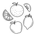 Cute fruit doodle, simple black white vector illustration Royalty Free Stock Photo