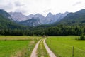Julian Alps, a forest and a grassy meadow in Gozd Martuljek, Slovenia