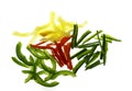 Chili Pepper Variety Julieene Cut