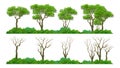 Different tropical Tree collection with grass and flower individual element design