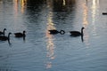 Julius M Kleiner Memorial Park at Twilight Royalty Free Stock Photo