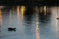 Julius M Kleiner Memorial Park at Twilight