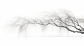 Julius Willet: Ethereal Minimalism In 3d Willow Branch