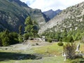 Julu village and pine forest near Ngawal, Nepal Royalty Free Stock Photo