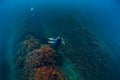 July 30, 2019. Anapa, Russia. Underwater photographer with camera glides stones with seaweed in sea