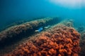 July 30, 2019. Anapa, Russia. Underwater photographer with camera glides stones with seaweed in sea