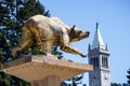 July 13, 2019 Berkeley / CA / USA - Golden Bear Statue on UC Berkeley campus, symbol of UC Berkeley and its athletic teams, the Royalty Free Stock Photo