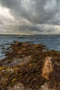 Beach with seaweed reefs, blue water, sailing ships and boats, dramatic sky
