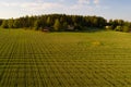 July evening over the field aerial survey. Southern Finland