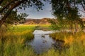 July Field Irrigation Royalty Free Stock Photo