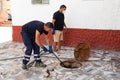 July 13, 2020. Granada. Spain: Workers cleans the drains hatch and removes dirt and debris from the sewer. Plumbers cleans the