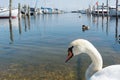 July 2018 - Landscape of Dragor: an old fishing village near Copenhagen