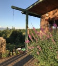 July landscape from Marks Ridge Winery, Sweet Home, Oregon