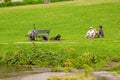 happy family resting at a picnic in the park with a dog