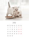 July 2024 Photo calendar with cute cats