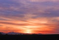 Purple and orange glowing sunset with sugarcane silhouette