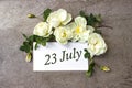 July 23rd. Day 23 of month, Calendar date. White roses border on pastel grey background with calendar date. Summer month, day of