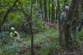 July 2021 Reggio Emilia, Italy: Alpinists, mountain climbers rescuers traiining in mountains Pietra di Bismantova. Soccorso alpino