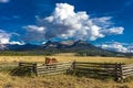 JULY 12, 2018, RIDGWAY COLORADO USA - Horse overlooks worm western fence in front of San Juan Mountains in Old West of Southwest C Royalty Free Stock Photo